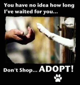 Adopt-a-pet